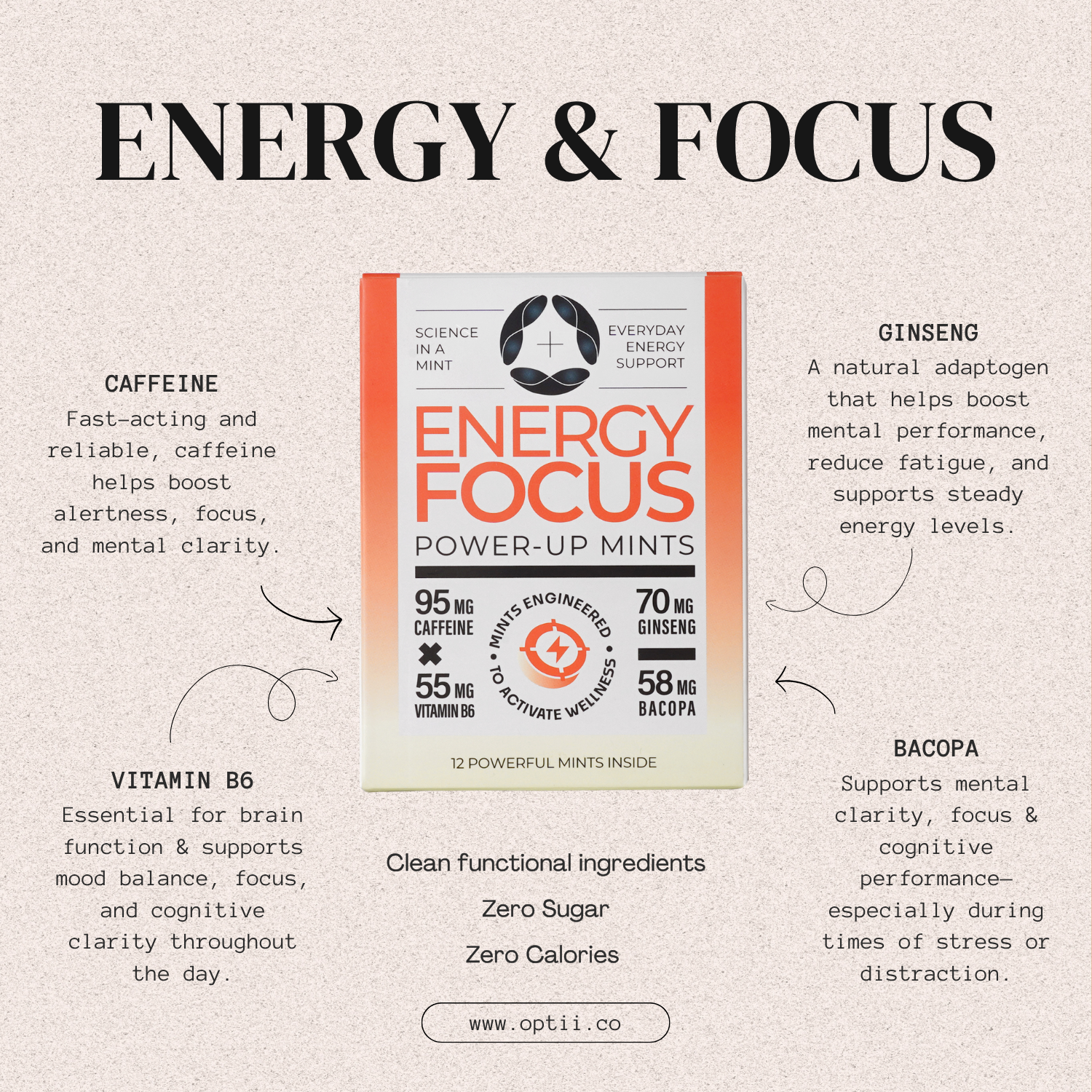 Energy & Focus Mints